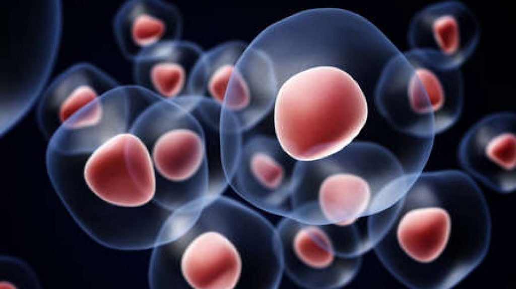 DEVELOPING INNOVATIVE THERAPIES FOR CANCER